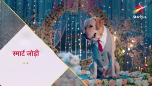 Smart Jodi